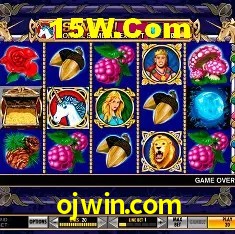 ojwin.com Brasília - Jogo Features